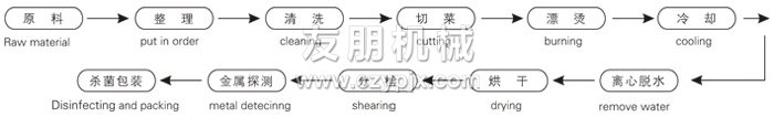 脫水蔬菜帶式干燥工藝流程